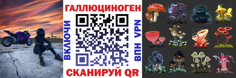 Галлюциногенные грибы Cubensis  Заволжск 